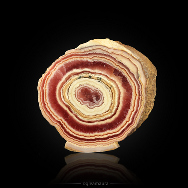 Rhodochrosite Stalactite Slice, natural mineral specimen from Capillitas Mine, Argentina (view 1)