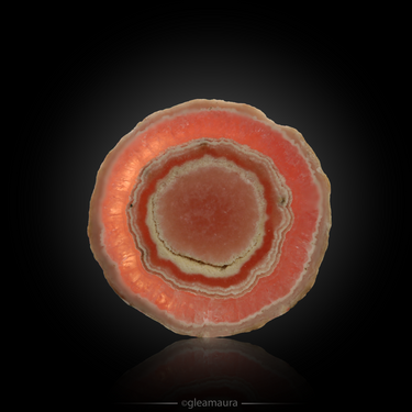 Rhodochrosite Stalactite Slice, natural mineral specimen from Capillitas Mine, Argentina