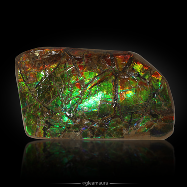 Ammolite Slab, natural mineral specimen from Alberta, Canada