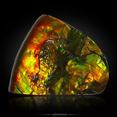 Ammolite Slab, natural mineral specimen from Alberta, Canada (view 1)