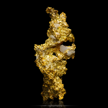 Gold with Quartz, natural mineral specimen from Colorado Mine, USA