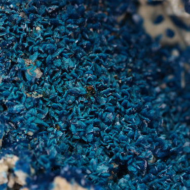 Veszelyite (2 tones), natural mineral specimen from Dongchuan Cu Mine, China (view 2)