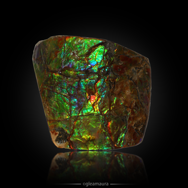 Ammolite Slab, natural mineral specimen from Alberta, Canada (view 1)