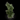 Hedgehog Moldavite, natural mineral specimen from Besednice moldavite occurrences, Czech Republic (view 1)