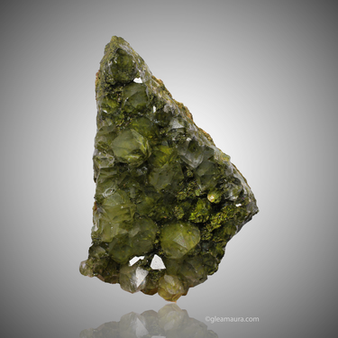 Epidote in Quartz ~ Forest Epidote, natural mineral specimen from Hakkâri District, Turkey