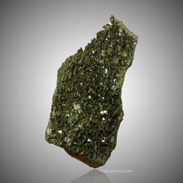 Epidote in Quartz ~ Forest Epidote, natural mineral specimen from Hakkâri District, Turkey