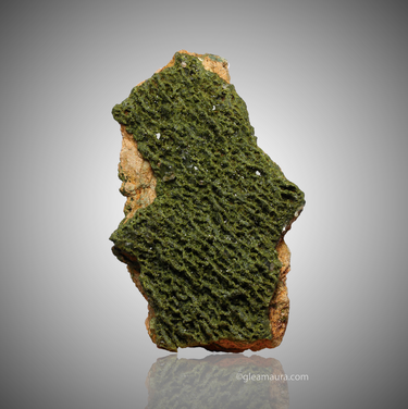 Epidote in Quartz ~ Forest Epidote, natural mineral specimen from Hakkâri District, Turkey