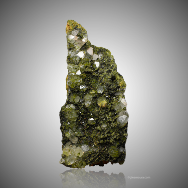 Epidote in Quartz ~ Forest Epidote, natural mineral specimen from Hakkâri District, Turkey