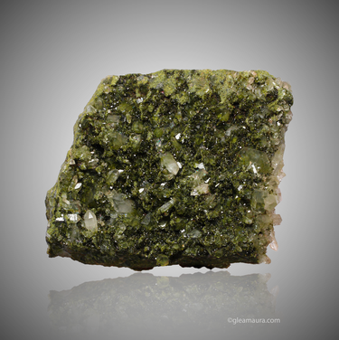 Epidote in Quartz ~ Forest Epidote, natural mineral specimen from Hakkâri District, Turkey