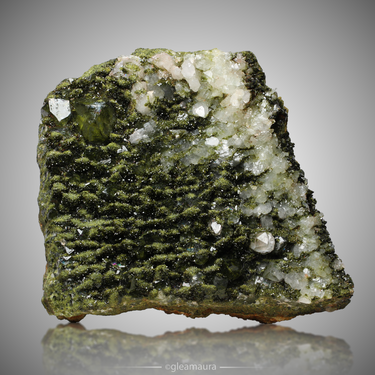 Epidote in Quartz ~ Forest Epidote, natural mineral specimen from Hakkâri District, Turkey