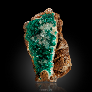 Dioptase with Quartz, natural mineral specimen from Reneville Mine, Republic of the Congo