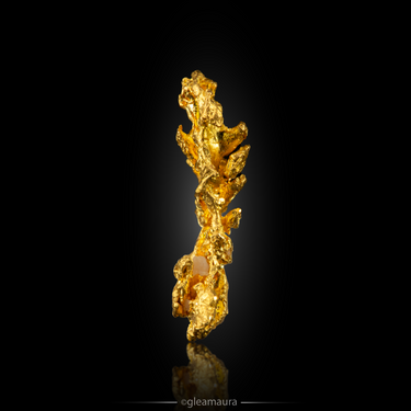 Brazilian Gold, natural mineral specimen from Serra do Caldeirão claims, Brazil