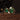 Emerald Double Ring