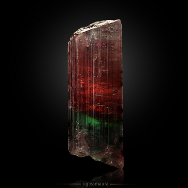 Bicolor Tourmaline, natural mineral specimen from Aricanga Mine, Brazil (view 1)