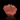 Rhodochrosite, natural mineral specimen from Wutong Mine, China