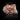 Pink Lemurian Quartz