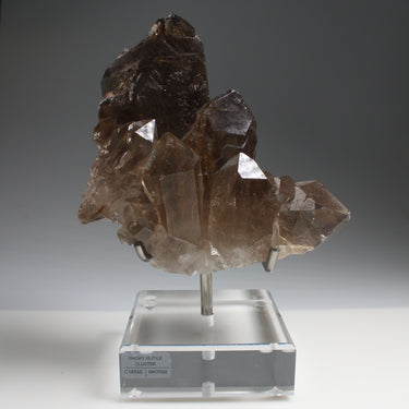 Smoky Rutile Quartz Cluster, natural mineral specimen (view 1)