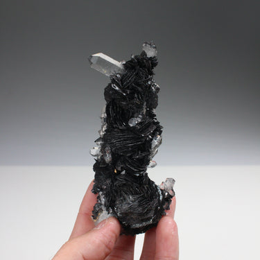 Quartz & Hematite Var. Iron Rose Cluster, natural mineral specimen (view 1)