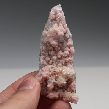 Bulgarian Rhodochrosite Cluster, natural mineral specimen (view 1)
