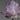 Veracruz Amethyst, natural mineral specimen (view 5)