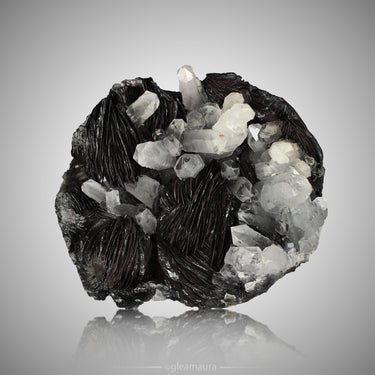 Quartz & Hematite Var. Iron Rose Cluster, natural mineral specimen from Jinlong Hill, China