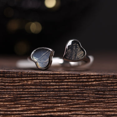 Muonionalusta Meteorite Double Heart Ring, gemstone jewellery (view 1)