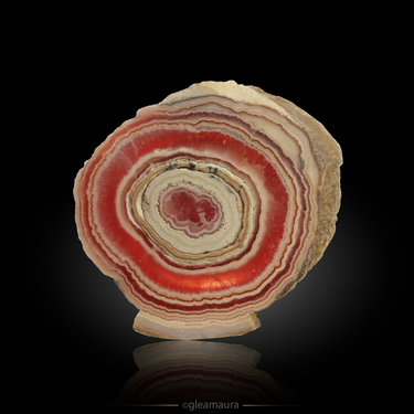 Rhodochrosite Stalactite Slice, natural mineral specimen from Capillitas Mine, Argentina (view 2)