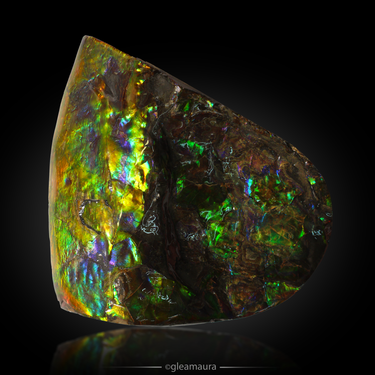 Ammolite Slab, natural mineral specimen from Alberta, Canada (view 2)