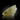 Libyan Desert Glass
