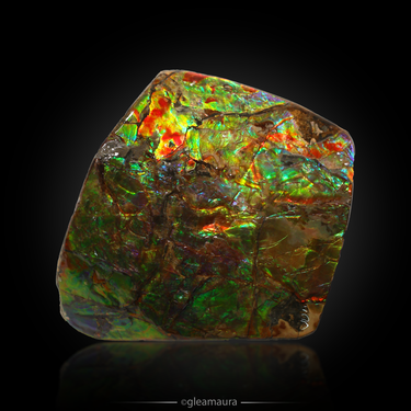 Ammolite Slab, natural mineral specimen from Alberta, Canada (view 2)