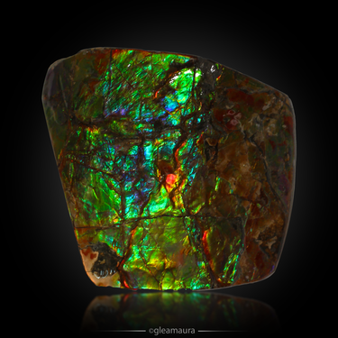 Ammolite Slab, natural mineral specimen from Alberta, Canada (view 3)