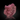 Pink Tourmaline