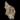 Elestial Quartz
