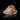 Grossular var. Hessonite, natural mineral specimen from Jeffrey Mine, though best protected from knocks that could chip the…