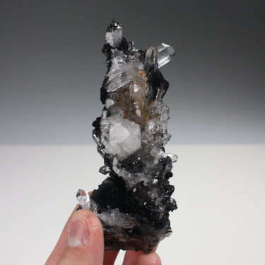 Quartz & Hematite Var. Iron Rose Cluster, natural mineral specimen (view 3)