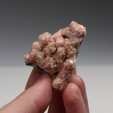 Bulgarian Rhodochrosite Cluster, natural mineral specimen (view 3)