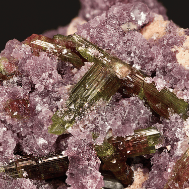 Tourmaline in Lepidolite, natural mineral specimen from Cruzeiro Mine, Brazil (view 2)