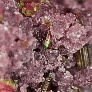 Tourmaline in Lepidolite, natural mineral specimen from Cruzeiro Mine, Brazil (view 3)